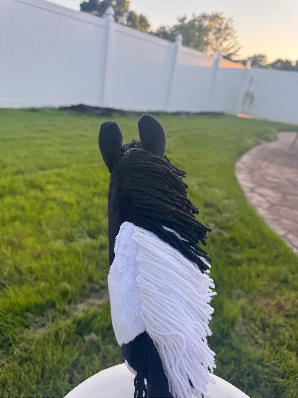 N/A this horse